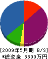 竹端電気 貸借対照表 2009年5月期