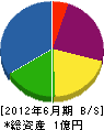 田島建設 貸借対照表 2012年6月期