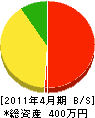 テシマ商工 貸借対照表 2011年4月期