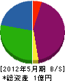 三橋塗装店 貸借対照表 2012年5月期