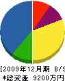 阪下建設 貸借対照表 2009年12月期