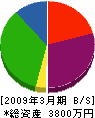 伊藤電工社 貸借対照表 2009年3月期