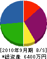 櫻井住宅 貸借対照表 2010年9月期