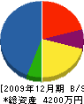 鈴木電業所 貸借対照表 2009年12月期