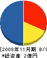 朝山技建 貸借対照表 2008年11月期