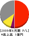 西日本電工 損益計算書 2009年6月期