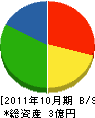 大山商店 貸借対照表 2011年10月期
