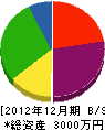 住研岩成 貸借対照表 2012年12月期