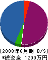 芳賀組 貸借対照表 2008年6月期