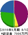松岡建設 貸借対照表 2010年6月期