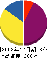 山田組 貸借対照表 2009年12月期 山田組 貸借対照表 2009年12月期