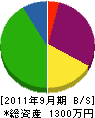 丸朝 貸借対照表 2011年9月期