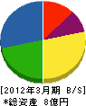 北海道ニチレキ工事 貸借対照表 2012年3月期