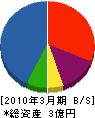 丸善土木 貸借対照表 2010年3月期 丸善土木 貸借対照表 2010年3月期