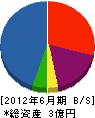 シモムラ・プランニング社 貸借対照表 2012年6月期