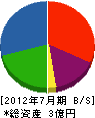 小井土造園土木 貸借対照表 2012年7月期