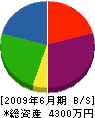 上野組 貸借対照表 2009年6月期