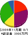 渡昭工務店 貸借対照表 2009年11月期