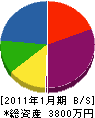 渡辺起設 貸借対照表 2011年1月期