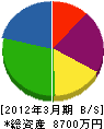 塚田産業 貸借対照表 2012年3月期