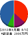 ワタセイ商会 貸借対照表 2012年8月期