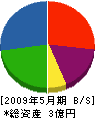 竹工務店 貸借対照表 2009年5月期