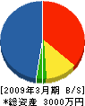 葵薪 貸借対照表 2009年3月期