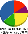 ヒロカワ 貸借対照表 2010年10月期
