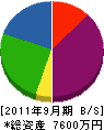 向井電気工事 貸借対照表 2011年9月期