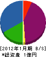 東亜グラウト 貸借対照表 2012年1月期