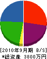 手塚建設工業 貸借対照表 2010年9月期