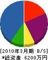 大川実業 貸借対照表 2010年3月期