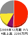 朝日製作所 損益計算書 2009年12月期