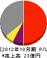 佐藤企業 損益計算書 2012年10月期