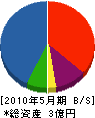 吉岡電気工業 貸借対照表 2010年5月期