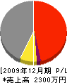 亀子建設 損益計算書 2009年12月期