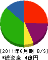 東京索道 貸借対照表 2011年6月期
