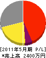 伊江島緑化 損益計算書 2011年5月期