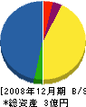 大栄工務店 貸借対照表 2008年12月期