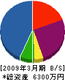 松保工業 貸借対照表 2009年3月期