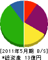 ティー・シージャパン 貸借対照表 2011年5月期