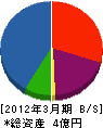 中京開発 貸借対照表 2012年3月期