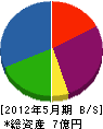 瀧澤 貸借対照表 2012年5月期