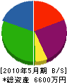 大沼興業 貸借対照表 2010年5月期