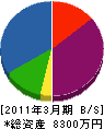 深澤工業 貸借対照表 2011年3月期