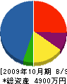 渡辺冷熱 貸借対照表 2009年10月期