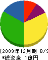 九州造園 貸借対照表 2009年12月期