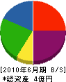 矢澤フェロマイト 貸借対照表 2010年6月期