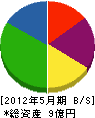 小澤建設 貸借対照表 2012年5月期
