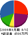 桂造園 貸借対照表 2009年8月期